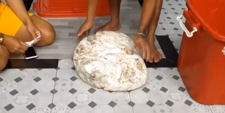 Nhặt được “vàng nổi” khi dạo bờ biển, cặp đôi chớp mắt đổi đời Nhat duoc “vang noi” khi dao bo bien, cap doi chop mat doi doi