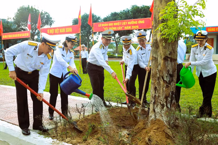 Vùng 3 Hải Quân trồng 2.000 cây xanh hưởng ứng Tết trồng cây Vung 3 Hai Quan trong 2.000 cay xanh huong ung Tet trong cay