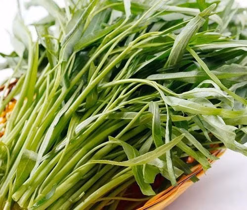 Loại rau nào dễ “ngậm” thuốc trừ sâu? - Hình 2 Loai rau nao de “ngam” thuoc tru sau?-Hinh-2