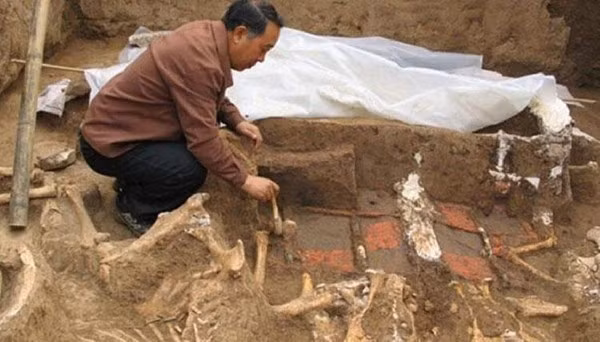 Rùng mình “mộ cổ đoạt mạng người”, 80 kẻ trộm một đi không trở lại Rung minh “mo co doat mang nguoi”, 80 ke trom mot di khong tro lai