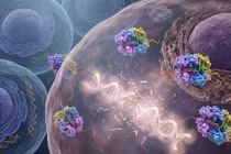 Enzyme CRISPR mới có thể tiêu diệt ung thư bằng cách cắt nhỏ DNA