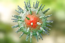 Epstein-Barr: Virus phổ biến liên quan đến nhiều bệnh lý nguy hiểm