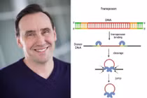 Phát hiện bộ gene trong não người có thể di chuyển khắp DNA