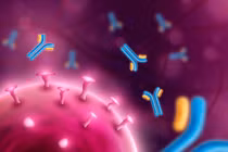 Khám phá chiến lược chống virus hoàn toàn khác biệt của hải quỳ