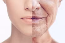 Tạo ra enzym 'cải lão hoàn đồng' cho mô người 