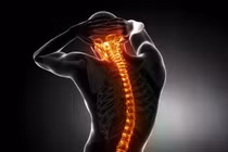 Tín hiệu miễn dịch giúp thúc đẩy tái tạo tủy sống qua nghiên cứu mới