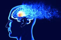Các cụm protein nhỏ gây Alzheimer âm thầm phá hoại tế bào thần kinh