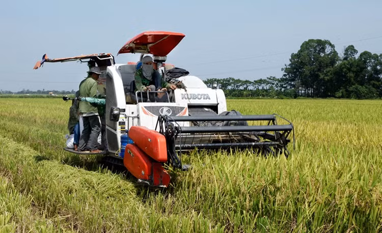 Nhiều chính sách có hiệu lực từ tháng 2/2023: Người trồng lúa hưởng lợi - Hình 2 Nhieu chinh sach co hieu luc tu thang 2/2023: Nguoi trong lua huong loi-Hinh-2