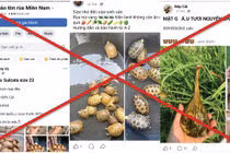 Tràn lan "chợ đen" thú rừng trên mạng
