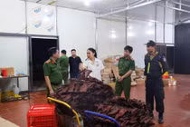 Bắt tạm giam giám đốc MQ Food vì “hô biến ”thịt trâu bốc mùi thành trâu gác bếp