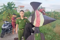 Hải Phòng thu giữ diều bay cao đe dọa an toàn hàng không