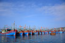 Tàu cá Hải Phòng gặp nạn trên biển