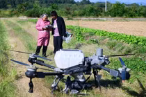Bà ngoại 82 tuổi lái drone, livestream bán hàng gây sốt