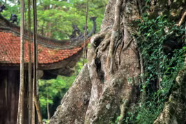 Lam Kinh- nơi giao thoa giữa lịch sử và huyền thoại