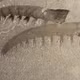 Anomalocaris – sinh vật khổng lồ của đại dương 500 triệu năm trước