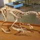 Velociraptor ngoài đời thực khác xa sát thủ đáng sợ trên màn ảnh