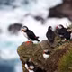 Khám phá quần đảo Faroe với những vách đá khổng lồ giữa đại dương