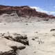 Khám phá Thung lũng Mặt Trăng: Bí ẩn của thời đại khủng long ở Argentina