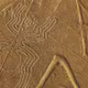 Đường Nazca: Bí ẩn đằng sau những hình vẽ khổng lồ