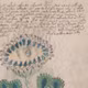 Bản thảo Voynich 600 năm tuổi vẫn chưa có lời giải