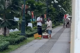 Công an TP HCM làm rõ vụ bán dừa giá cao cho du khách nước ngoài