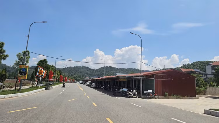 555544.jpg