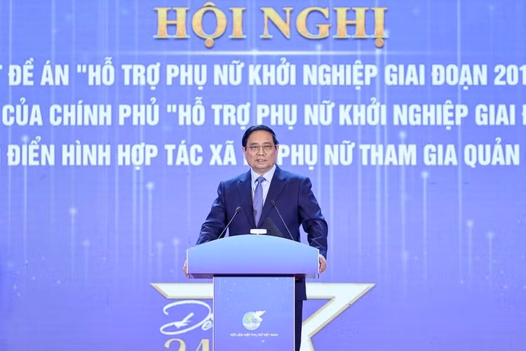 555.jpg