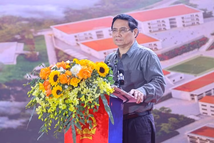 78.jpg