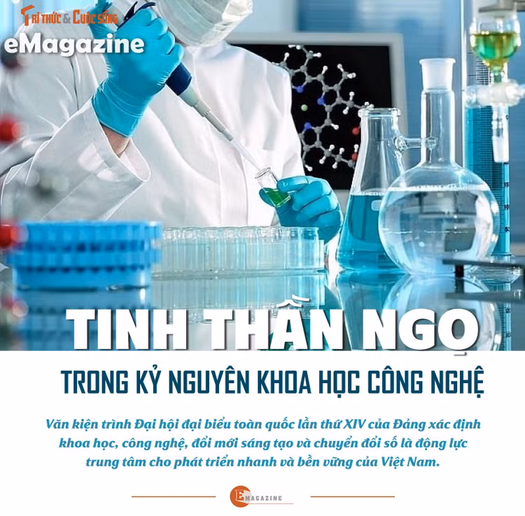 e-tinhthanngo-1.jpg