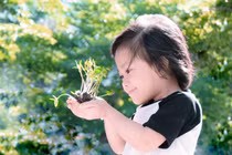 Dạy con biết trân trọng, gìn giữ môi trường sống