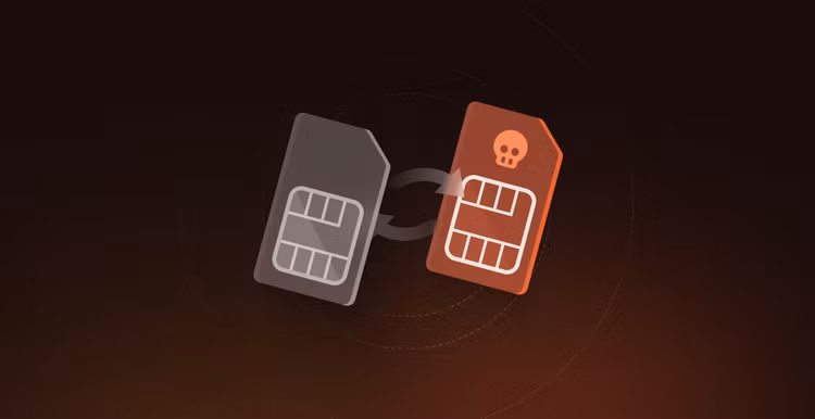 wrap-5.png