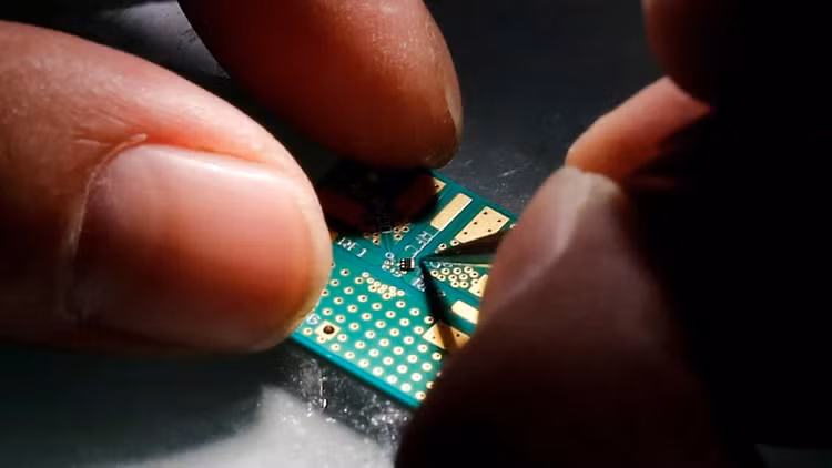 chip-6.png