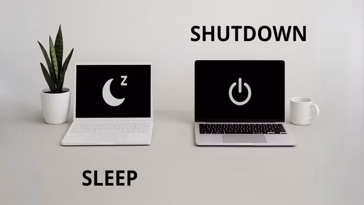 sh-8.png