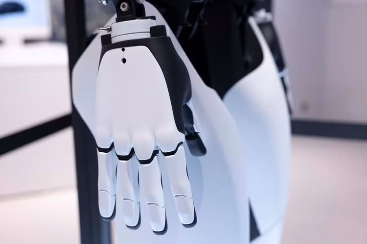 ro-8.png