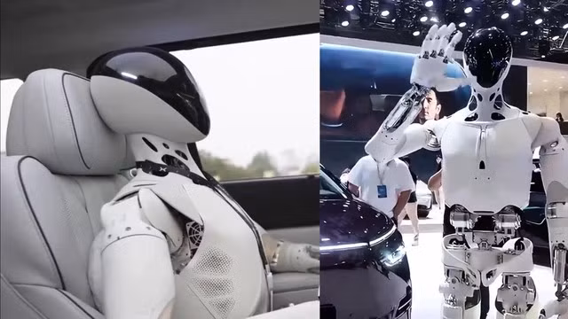 bo-2.png