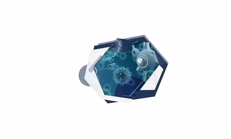gn-8.png