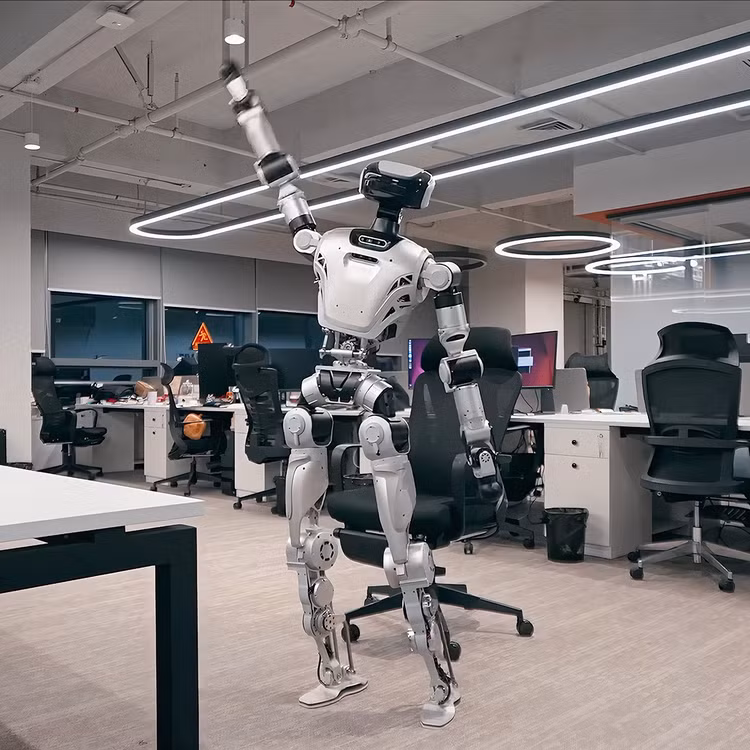 bot-3.png