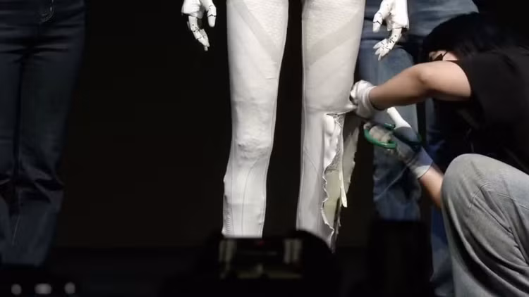 peng-4.png
