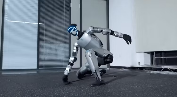 bot-6.png