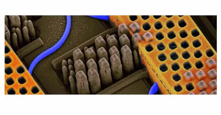 anh-4.png