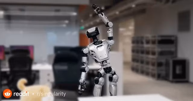 bot-8.png