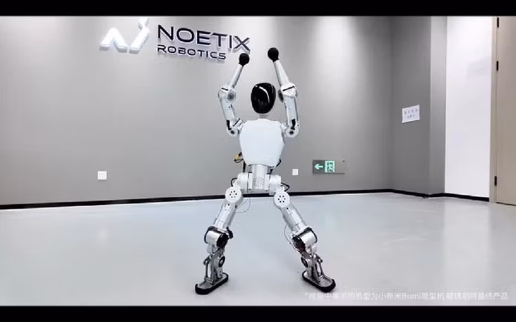 bot-5.png