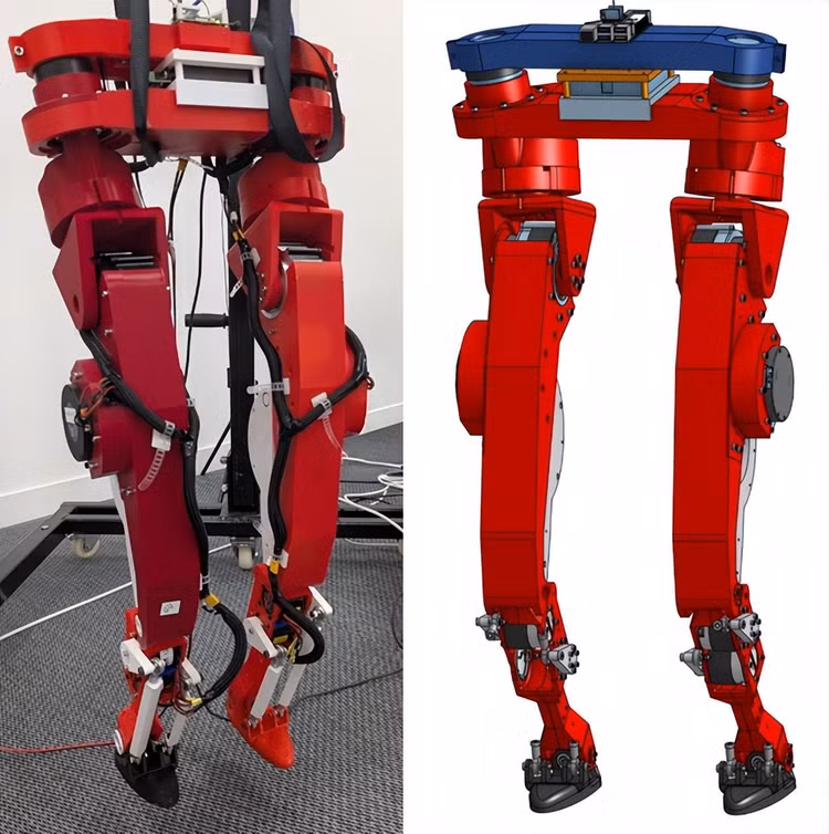 bo-1.png