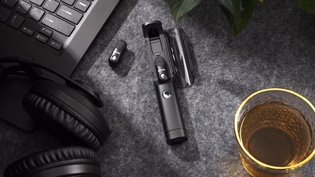 mic-2.png