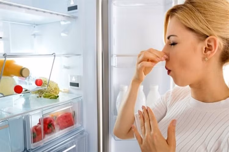 dip-5.png