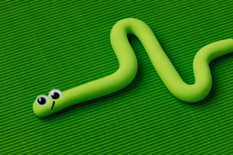 ran-8.png