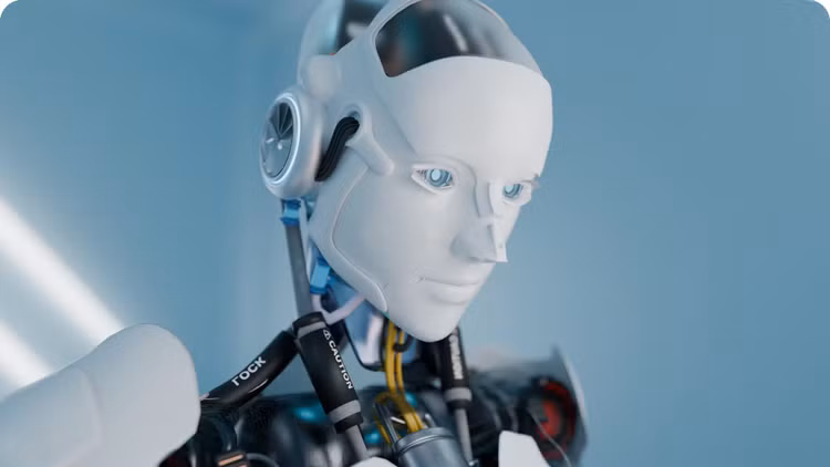 bao-6.png