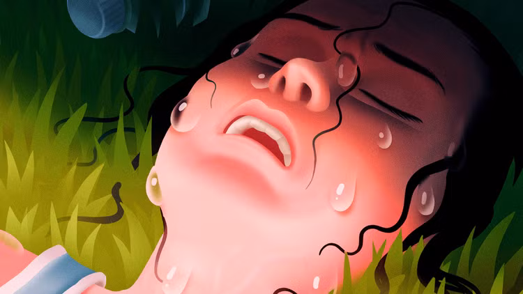 quat-5.png