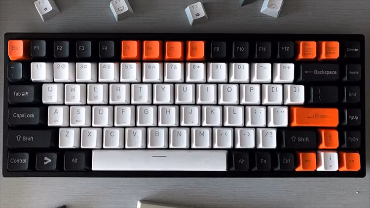 co-4.png