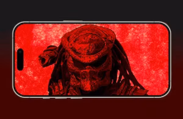 cham-5.png